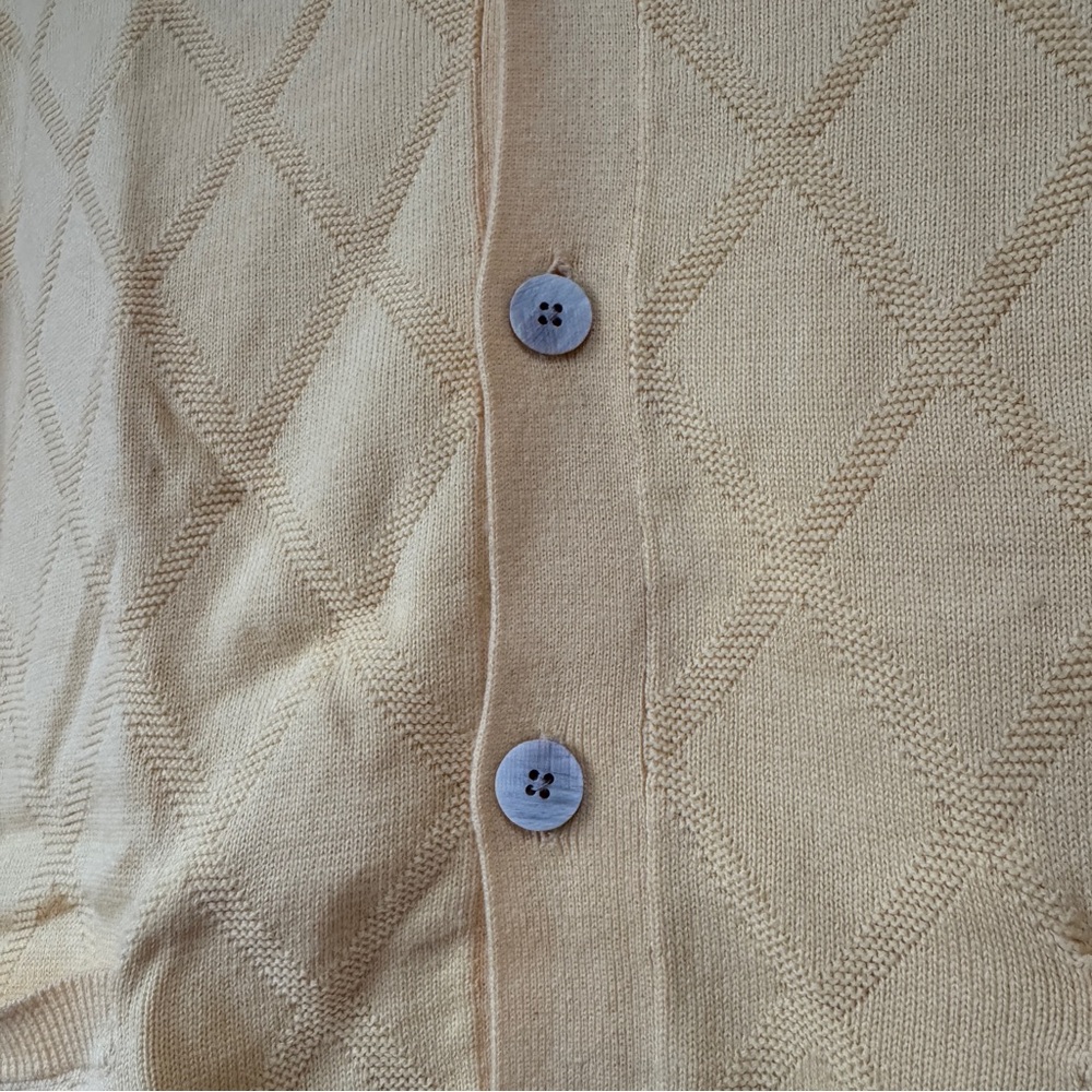 Vintage Pendleton Button Down Vest - image 2